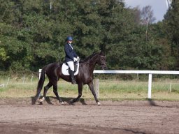 IMG_7872_web